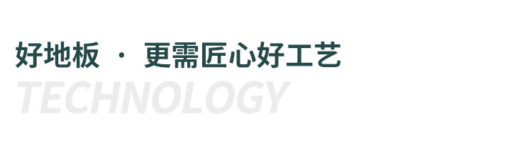 石羽毛球館體育運動木地板