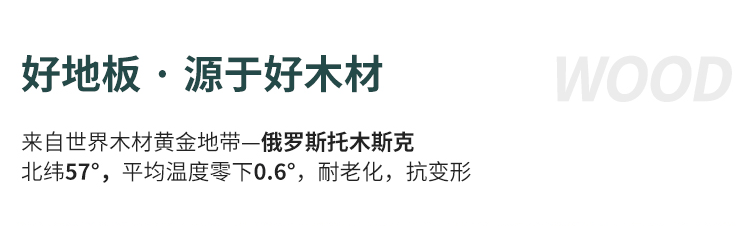 石羽毛球館體育運動木地板