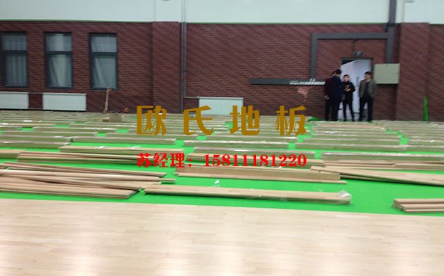 柞木、楓木與楓樺木應用到體育場館哪種較好呢——歐氏地板